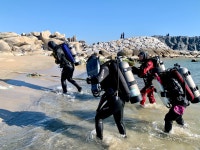양양 스쿠버다이빙 PADI 다이브마스터 자격증 패디 교육 남애스쿠버 : 남애스쿠버리조트