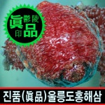 울릉도오로라농수산 | 울릉도 특산물 자연산 홍해삼 제철 1kg 영덕 포항 일등수산 울릉몰 일등농수산 : 일등수산 울릉몰 일등농수산