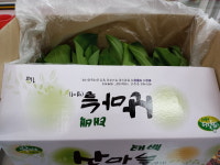 덕성청과야채할인마트 | 강원도 태백 산마늘1kg : 덕성청과야채할인마트
