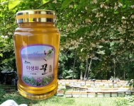 제주 벌꿀 야생화 꿀 2.4kg,1kg 잡화꿀 : 제주수원농산물