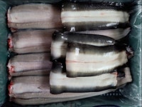 신계수산 국내산 풍천 민물장어 자포니카 당일 1kg 손질후 700g내외 : 신계수산