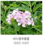 하이리빙안산프라자주 | 클렌징 클로스 하이리빙 엠보싱 티슈 피부 보습 효과 로즈마리 자주천인국 비누풀추출물 : 하이리빙1