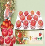 사과 꿀처럼 달고 맛있는 청송꿀사과농원 사과 4kg(10-12과) 제과 선물용 : 청송꿀사과농원