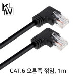 ㄱ자 랜선 랜케이블 꺽인 꺾인 꺽임 기역자 90도 납작 인터넷선 CAT5E 오른쪽1m : 706하우스