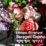 큐로스터(Q.Roster company) | 큐그레이더(Q grader)의 프리미엄 G1 TOP Specialty 로스팅 원두커피 (500g 기준) : 제시하우스몰