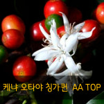 큐로스터(Q.Roster company) | 큐그레이더(Q grader)의 프리미엄 G1 TOP Specialty 로스팅 원두커피 (500g 기준) : 제시하우스몰