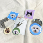인식표 네임택 강아지 고양이 목걸이 양면 이름표 써지컬 반영구 편한 목줄 m : 두부네사진관