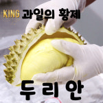 (주)두리안푸드 양산패션점 | 냉동 두리안 500g : 미쓰리푸드마켓