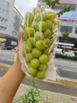 아사삭과일삼봉점 | 샤인머스켓 2kg 27,000원 : 아사삭과일가게