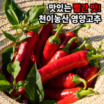 다복한농산 | 2025년 햇 건고추 (농가직송 영양고추) : 천이농산