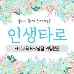 전화타로 카톡타로 타로상담 연애운 재회운 속마음 금전운 인생타로 10분 30분 : 인생타로