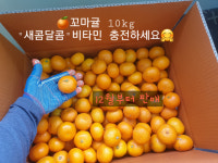 주연이네감귤밭 | (오복이네귤밭)노지감귤10kg s,mㅣ혼합과, 꼬마귤 : 오복이네귤밭
