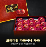 부사 사과 5kg 선물세트 경북 산지직송 프리미엄 명품 명절선물 : 다둥이 사과농원