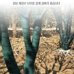 잡색보온덮개 칼라 보온 덮개 토목용 농사용 농업용 부직포 나무 보호대 : 셀러시대