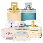 SPPC 디플로마 EDP 100ml / 향수 : 100 PERSCENTS