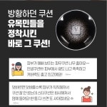 달다밍스토어 | 촉촉선크림 보톡스쿠션 물광쿠션 밀착쿠션 광채비비 인생비비 인생쿠션 : 달다밍스토어