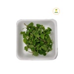 애플민트 (1팩/10g) : 야채로와