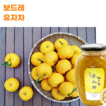 유자차 유자청 보드레 : 따뜻한 컴퍼니