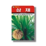 삼채씨앗 종자 100립 사포닌 칼륨다량함유 웰빙푸드 : 삼대씨앗