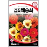 꽃 씨앗 겹꽃채송화 1000립 : 삼대씨앗