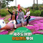 유한회사 홍익렌트카여행사 | 여행 스타리아 렌트 승합차 스타렉스 대절 소규모 효도 가족 단체 관광 친절기사 일일 자유 일정 가이드 뚜벅이 원데이 콜밴 : 아일랜드투어여행사