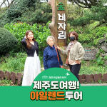 유한회사 홍익렌트카여행사 | 여행 스타리아 렌트 승합차 스타렉스 대절 소규모 효도 가족 단체 관광 친절기사 일일 자유 일정 가이드 뚜벅이 원데이 콜밴 : 아일랜드투어여행사