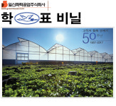 진천음성학표 | 학표장수필름/하우스비닐/두께0.1mm/폭14m/길이15m//20m/농업용비닐 : 진천 음성 학표 총판