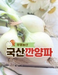 국산 햇양파 국내산 햇양파 대용량 깐양파 10Kg : 부평농산