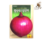 웰빙레드탑양파 2g 미래종묘 뿌리채소류 : 샵티앤아이