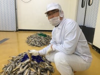 영광부영굴비유통 | 법성포 영광굴비 국내산 참조기 진공굴비 30미 18 ~19cm, 2.2kg 내외 : 영광법성포 부부굴비유통