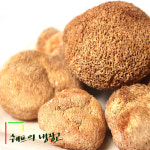 한방촌건노루궁뎅이버섯 | 90g 200g 건노루궁뎅이버섯 중국산노루궁뎅이버섯 수입노루궁뎅이버섯 건조노루궁뎅이버섯 중국산말린노루궁뎅이버섯 : 쉐프의냉장고