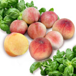 EEE 황도복숭아 대과 백도복숭아 경북 달콤한 임산부과일 딱딱이 말랑이 산지직송 당일수확 : 득템몰 푸드