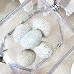 에그 스톤 석 강자갈 조경 돌 원예용 화분 마감재 장식 20kg : 다린샵-PLANT