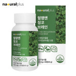 내츄럴플러스 혈행엔 징코브레인 은행잎 추출물 90정 3개월분 : 하이네이처