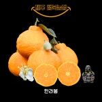 제주한라봉 가정용 5kg (1월 10일 이후발송 예약상품) : 제주행복농장