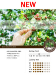 레스트빈 원두커피 1kg 브라질 블렌드 : 레스트빈
