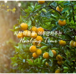 하이리빙안산프라자주 | 바디샤워젤 클렌저 하이리빙 풍부한 거품 히아루론산 자주천인국 게르마늄 영양 보습 : 하이리빙1