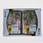 태백사내골농원 | 강원도 태백 땅두릅 1kg 2kg 독활 두릅 눈꽃땅두릅 백미향 : 숲이랑농원