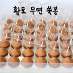 쑥좌훈황토찜방 | 백살 고급 황토무연쑥봉(48p) 미연 무연 쑥뜸 쑥뜸기 좌훈 왕뜸 : 위즈덤스토리지