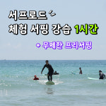 서핑 체험 강습권(1시간) 부산,송정서핑 : 서프로드 SURFROAD