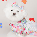 위드토리 플라워 베베 강아지 헤어밴드 애견 보타이 고양이 머리핀 악세사리 리본삔 : PICKYSHOP 피키샵