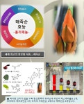 (무료배송)황금손 기절초풍 식초 해죽순 토디팜재거리발효식초 1.5L 항산화에 좋은 식초 : 정지나니