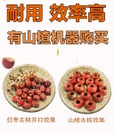 디엔에스교역 | 씨제거기 사과씨 대추 심 매실 과육 분리기 올리브 : 스타일배송대행