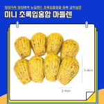 포코니멀랩 | 미니 초록입홍합 마들렌 8p : 포코니멀