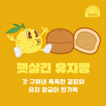 햇살긴유자빵 35gx8EA 거제유자빵 원조유자빵 : 햇살긴의 유자친구들
