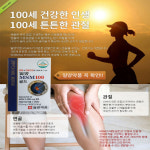 엠에스엠컴퍼니에코식당 | 천관보 대체 MSN 관절 MSM100골드 선물 : N초컴퍼니