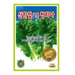 한빛종묘사 | 신한빛(여름)청치마 치마상추 3천립 씨앗 상추 씨 종자 모종 텃밭 주말농장 KS종묘 그린종묘사 : 허수아비정원