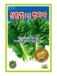 한빛종묘사 | 신한빛(여름)청치마 치마상추 3천립 씨앗 상추 씨 종자 모종 텃밭 주말농장 KS종묘 그린종묘사 : 허수아비정원