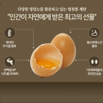 ✅ 난각번호1번 ✅ 왕란 초란 특란 동물복지 무항생제 유정란 자연 방사 부화용 1등급 : 행복매뉴얼