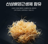 깊은산 속 산애산삼 | 산삼배양근 생채 산삼한뿌리 깊은산 산삼차 : 영양닷컴